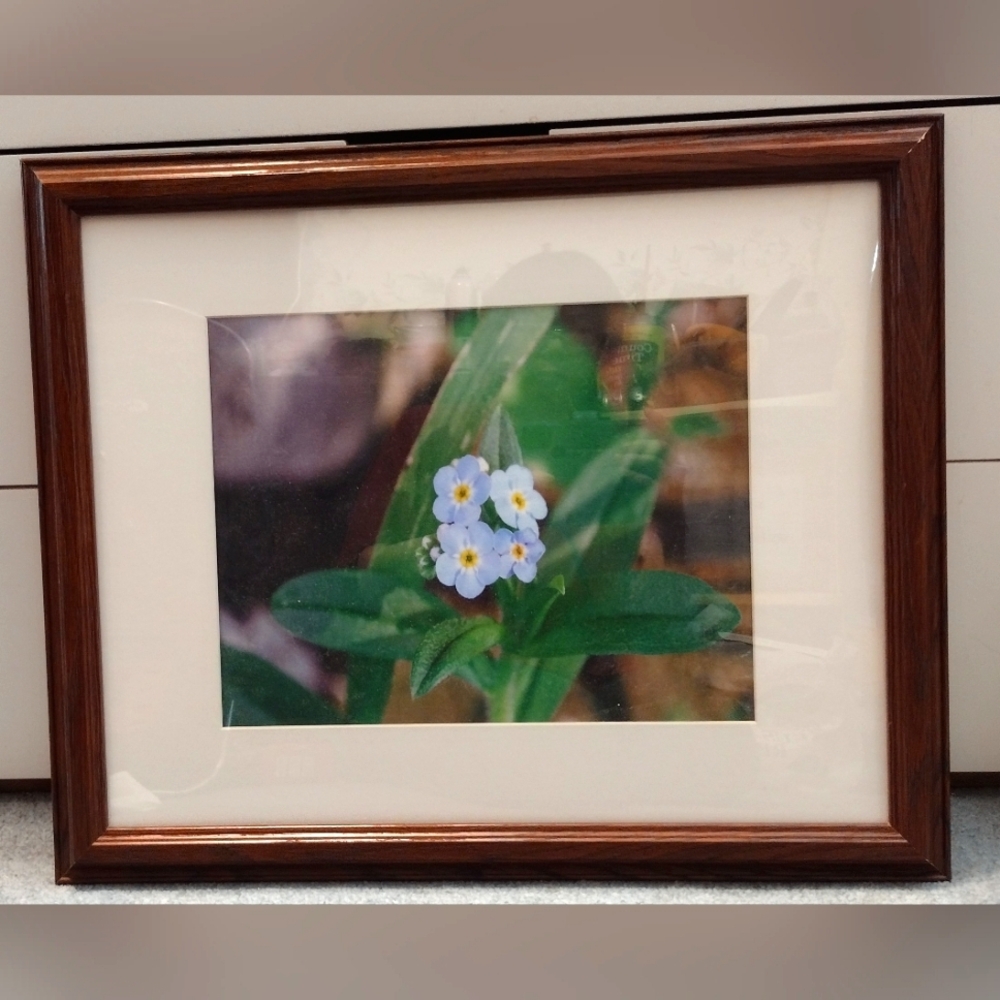 Classic Walnut Picture Frame